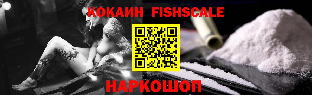 Топки  Кокаин FishScale  COCAIN Fish Scale  Вход с VPN 
