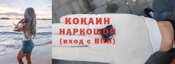 ешки Алексин