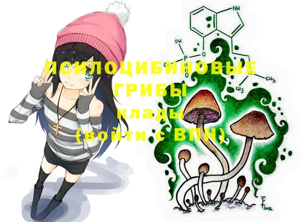дмт Алексеевка