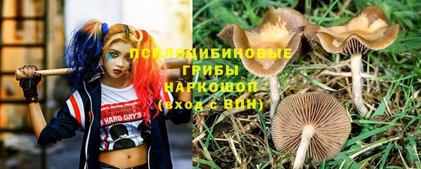 дмт Алексеевка
