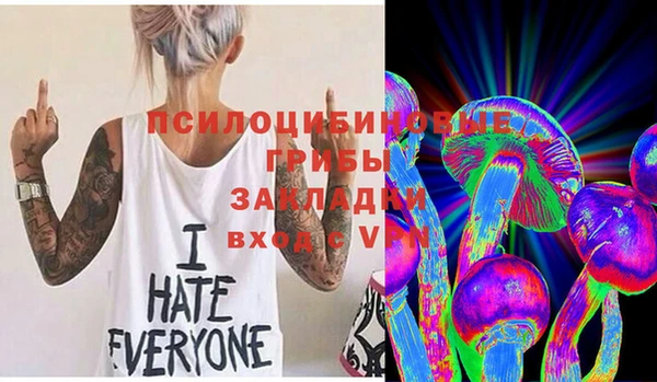 ешки Алексин