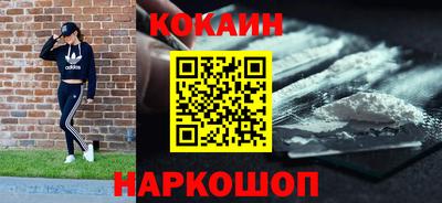 стафф Гатчина