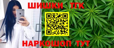 стафф Гатчина