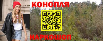 амф Гай