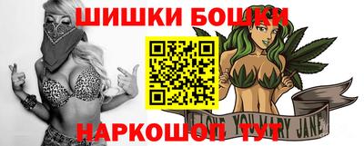 стафф Гатчина