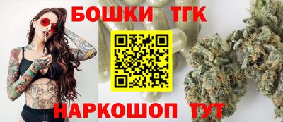 стафф Гатчина
