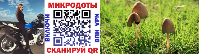 Псилоцибиновые грибы мицелий Топки