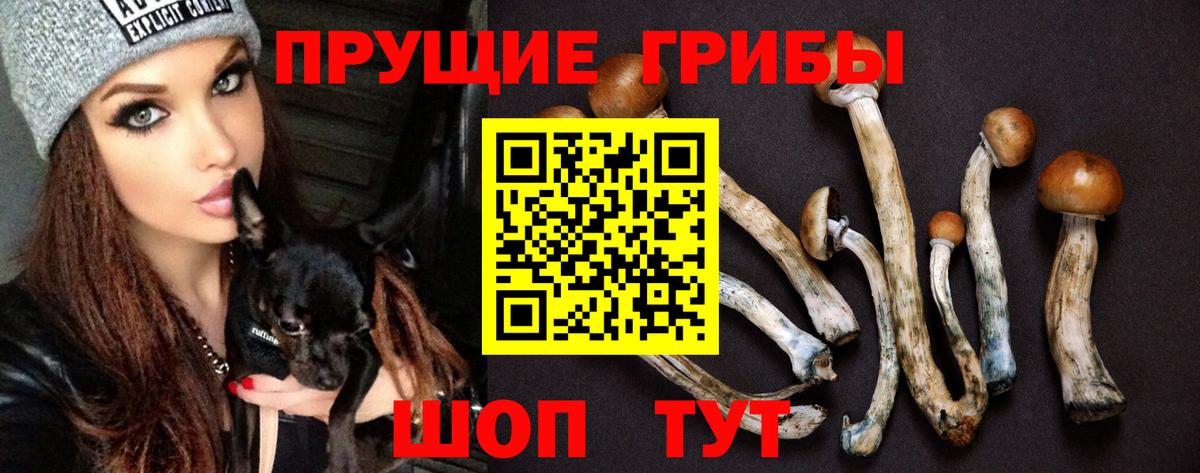 Галлюциногенные грибы MAGIC MUSHROOMS Топки