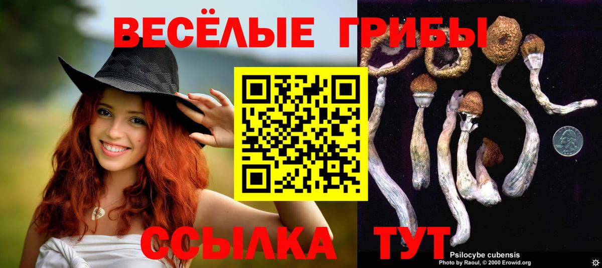 Псилоцибиновые грибы ЛСД  Вход с VPN  купить  сайты  Галлюциногенные грибы прущие грибы  Топки 